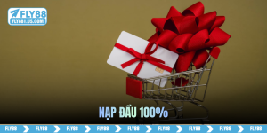 nạp đầu 100